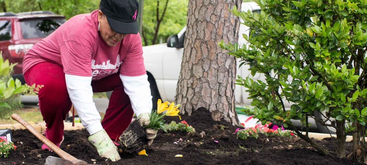 Woman planting flowers in landscaping area