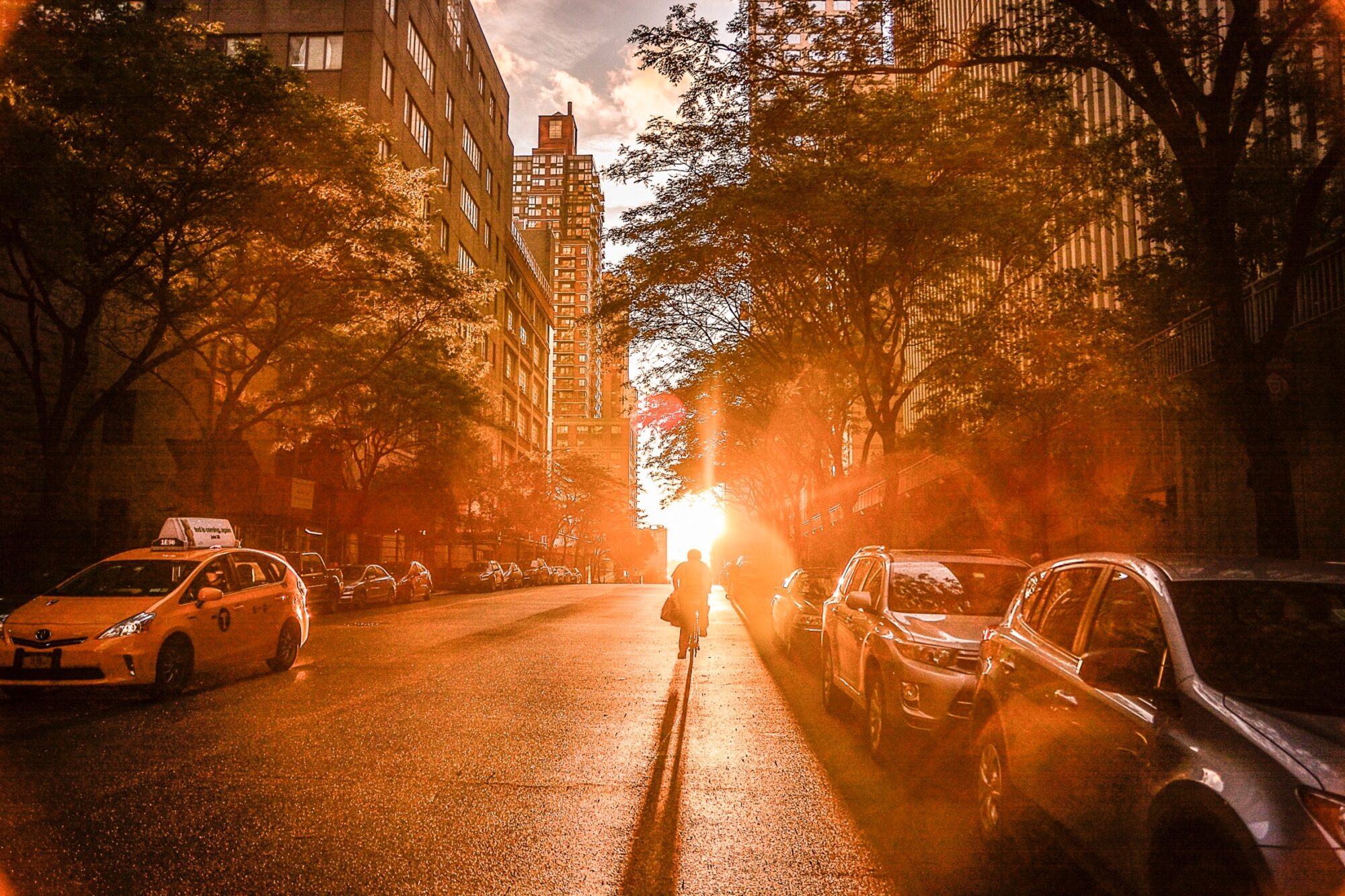 Person riding bicycle on sunlit city street