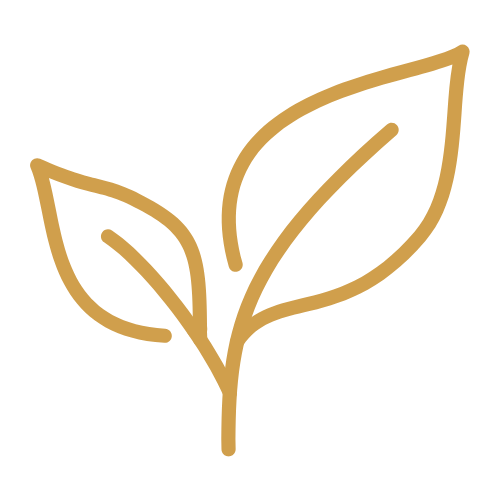 plant icon